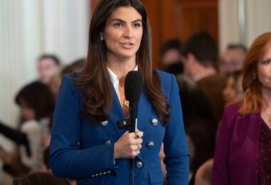 Kaitlan Collins sur la façon dont le Dylan Mulvaney WHCD de Trump a été bombardé : « C'était si calme dans la pièce »