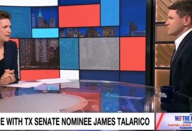 James Talarico explique à Rachel Maddow à quel point la politique sectaire et anti-trans détourne l'attention de la corruption du GOP