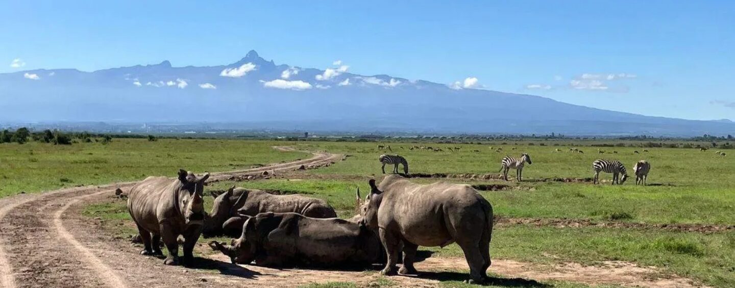 Des maris du sud de la Floride parmi les Américains tués dans un accident d'hélicoptère au Kenya