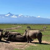 Des maris du sud de la Floride parmi les Américains tués dans un accident d'hélicoptère au Kenya