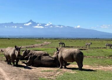 Des maris du sud de la Floride parmi les Américains tués dans un accident d'hélicoptère au Kenya