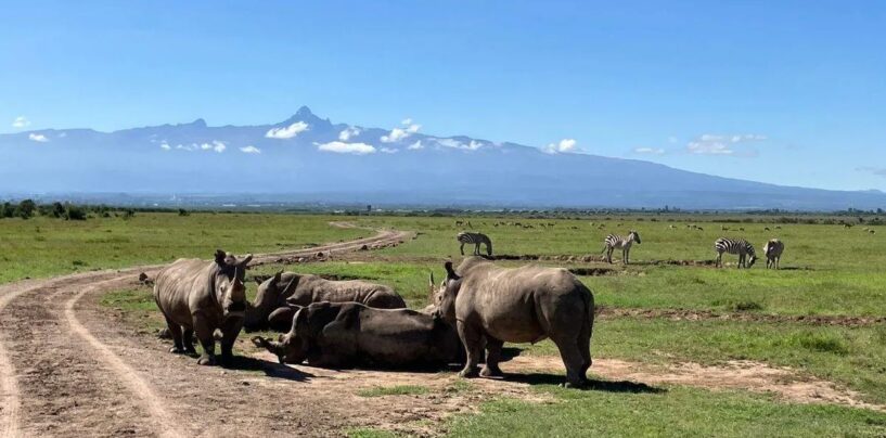 Des maris du sud de la Floride parmi les Américains tués dans un accident d'hélicoptère au Kenya