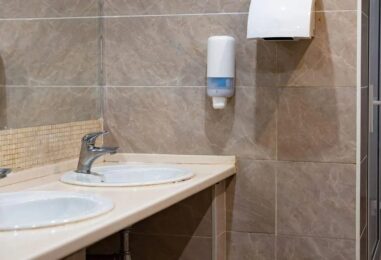 Un garçon transgenre poursuivi en justice pour avoir accès aux toilettes. La Caroline du Sud a poussé sa famille à fuir l'État
