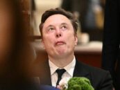 Le PAC d'Elon Musk fait des personnes transgenres son objectif à moyen terme de plusieurs millions de dollars