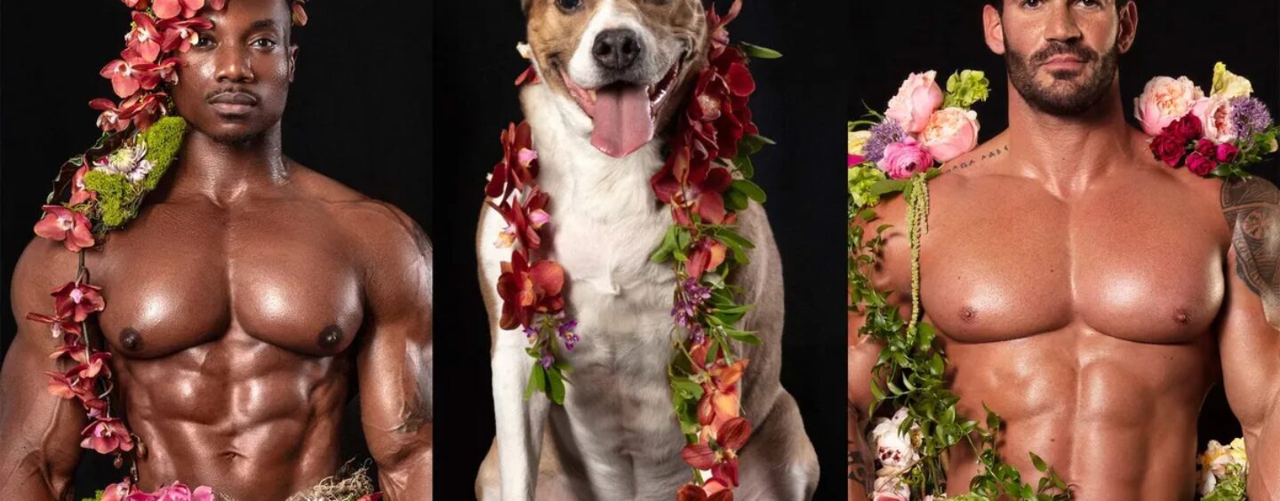 Des hommes musclés presque nus aident à sauver d'adorables chiens