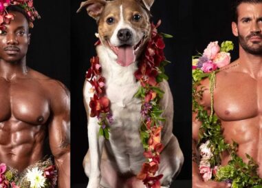 Des hommes musclés presque nus aident à sauver d'adorables chiens
