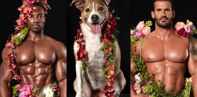 Des hommes musclés presque nus aident à sauver d'adorables chiens