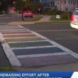 « Cela semble intentionnel » : les responsables de la ville du Massachusetts sont confrontés à des questions sur la suppression des passages pour piétons arc-en-ciel