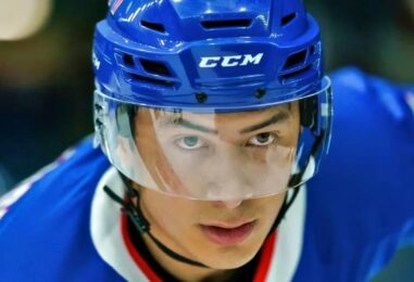 Cela vous semble familier ? Le prochain scénario du film d'Hudson Williams met en scène un ancien joueur de hockey