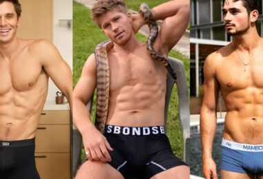 Les 7 publicités de sous-vêtements presque nus les plus populaires des stars masculines de télé-réalité, classées
